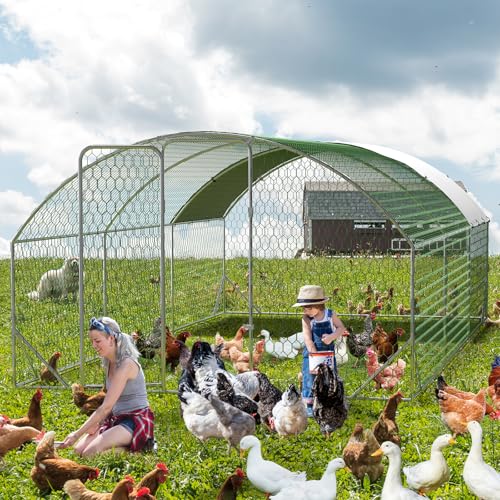 Large Metal Chicken Coop, Walk-in Poultry Cage