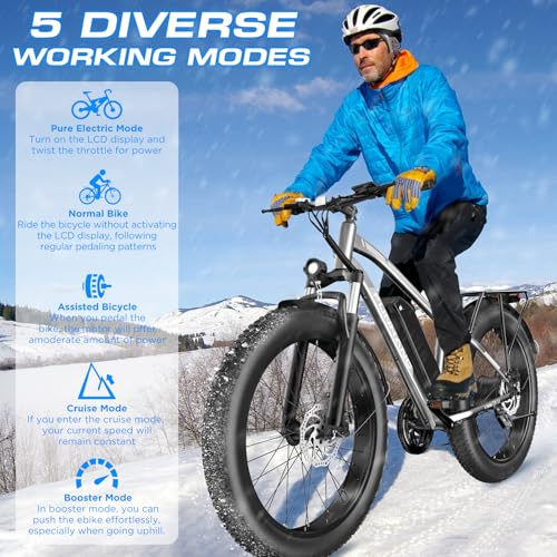 Electric Bike for Adults, 1000W Peak Ebike, 25MPH 60Miles Electric Mountain Bike, 26" Fat Tire Electric Bicycle with 48V 13AH Battery, Rear Rack