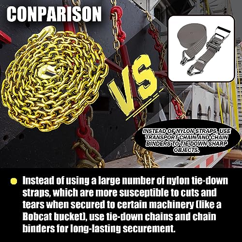 G80 Transport Binder Chain 5/16 Inch x 20 Foot | Tow Chain with Clevis Grab Hooks | 4