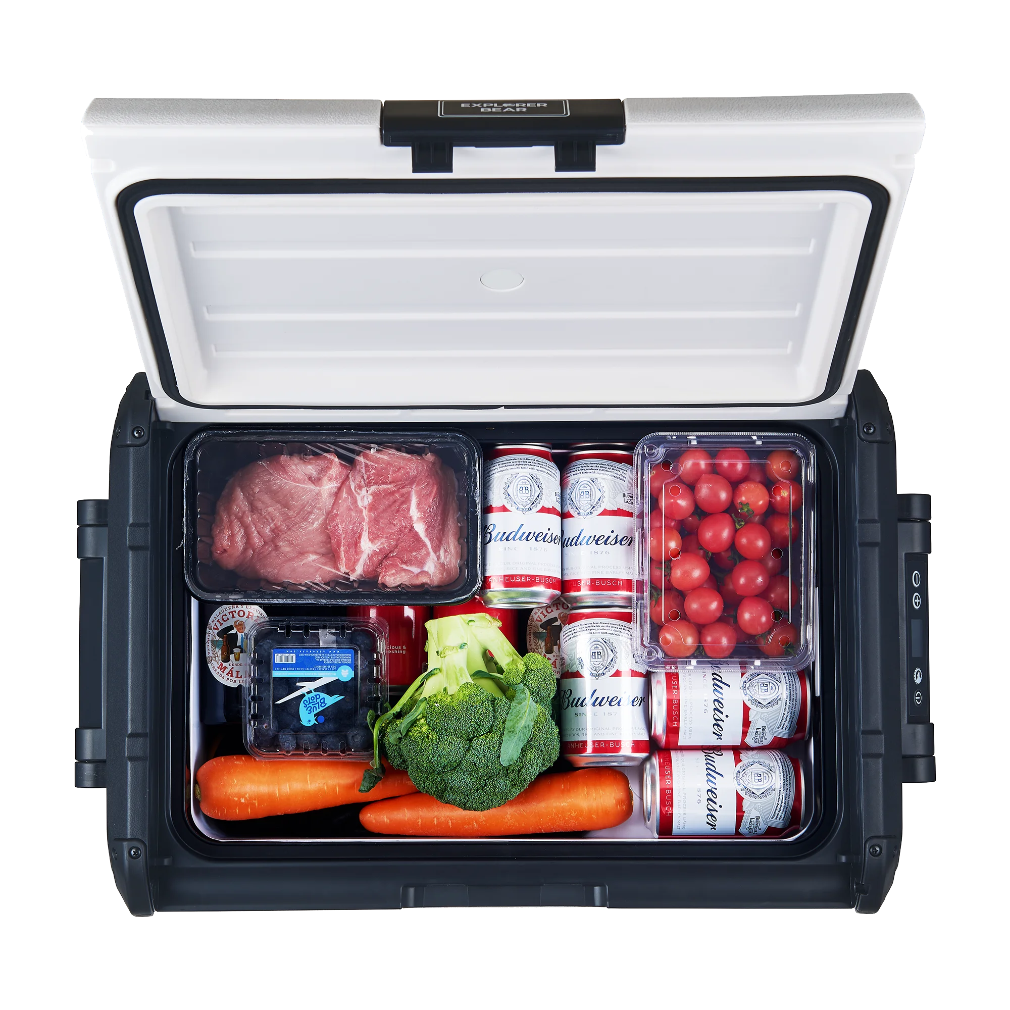 Explorer Bear 48Q/45L 12V/24V Portable Car Refridgerator RV Freezer Compact Fridge