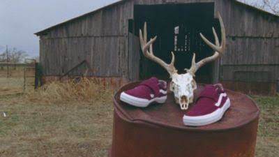 Vans Kyle Pro 2 (Antique White)