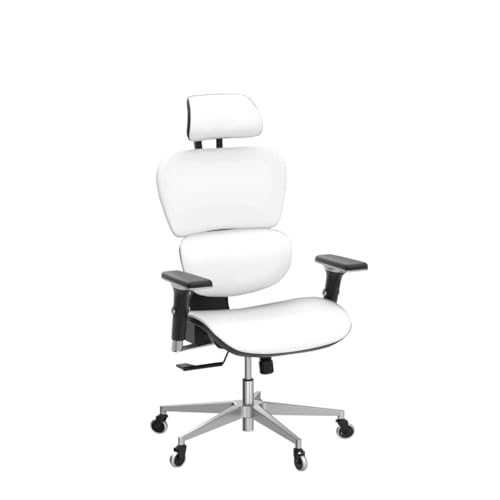 Oline ErgoPro Ergonomic Office Chair, Rolling Desk Chair with 4D Adjustable Armrest, 3D Lumbar Support, Blade Wheels