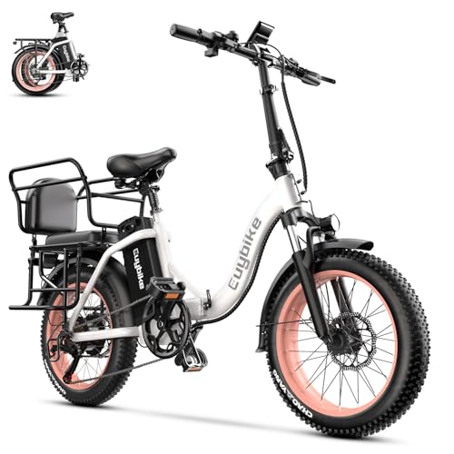 Folding Electric Bike for Adults with Peak 1000W Motor, 48V 20AH Battery up to 30MPH 80 Miles, 20" Fat Tire All Terrain Ebike