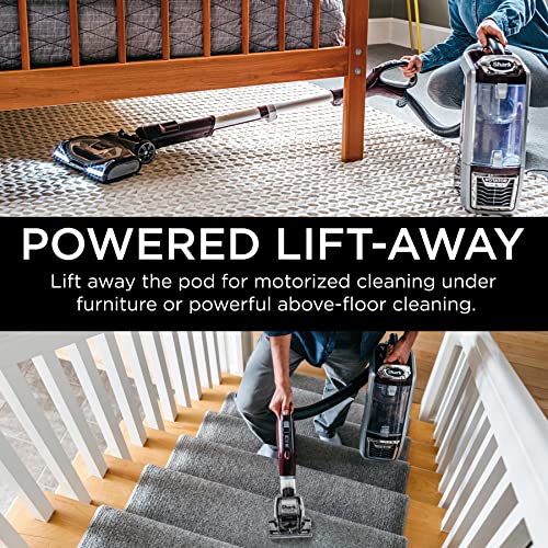 Shark NV752 Rotator Powered Lift-Away TruePet Upright Vacuum with HEPA Filter, Large Dust Cup Capacity, LED Headlights, Upholstery Tool