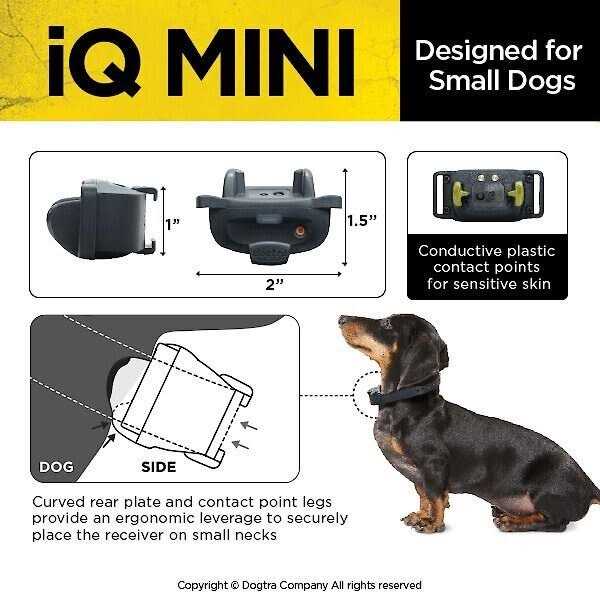Dogtra IQ-MINI Dog Training Collar - Pet Supplies online store