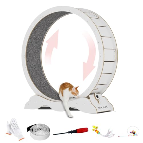 Cat Exercise Wheel 45 Inch Cat Treadmill for Indoor Cats, Running Wheel with Detachable Carpeted Runway