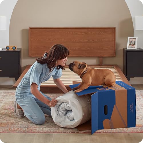 Sealy Dreamlife 12” Foam Mattress-in-a-Box, Full, SealyComfort Gel Memory Foam, SealySupport Transition Foam, Surface-Guard Technology