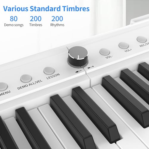 88 Key Piano Keyboard,Beginner Electric Digital Piano with Semi Weighted Keys,Keyboard Piano withSustain Pedal, Power Supply, Stand, Carrying Case