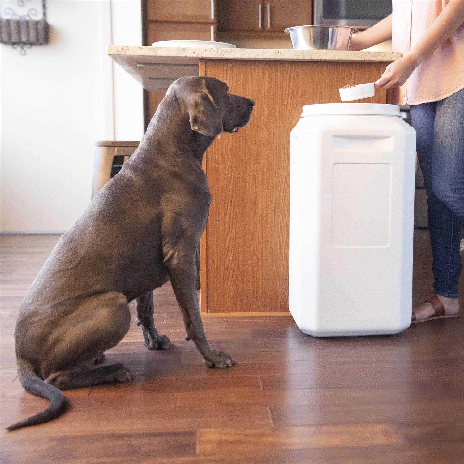 Vittles Vault Container Food Pet - Pet Supplies online store