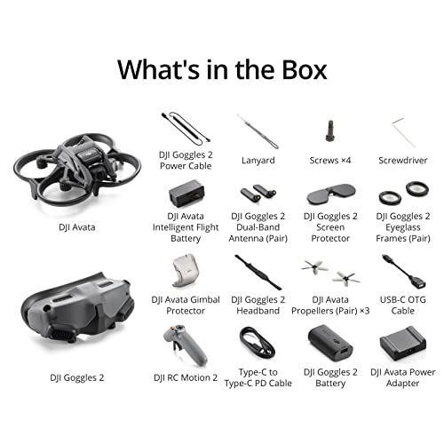 DJI Avata Pro-View Combo - First-Person View Drone UAV Quadcopter with 4K Stabilized Video, Super-Wide 155° FOV, Emergency Brake and Hover