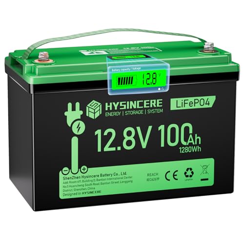 12V 100Ah LiFePO4 Lithium Battery, Mini Deep Cycle Rechargeable LiFePO4 Battery, Max.15000 Cycles Built in 100A BMS for RV, Trolling Motor, Camping