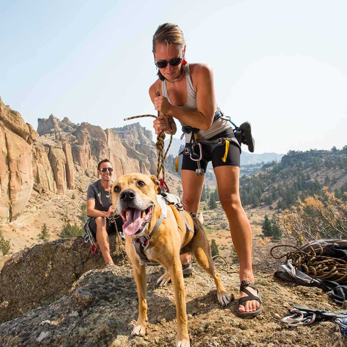 Ruffwear Doubleback Harness - Pet Supplies online store