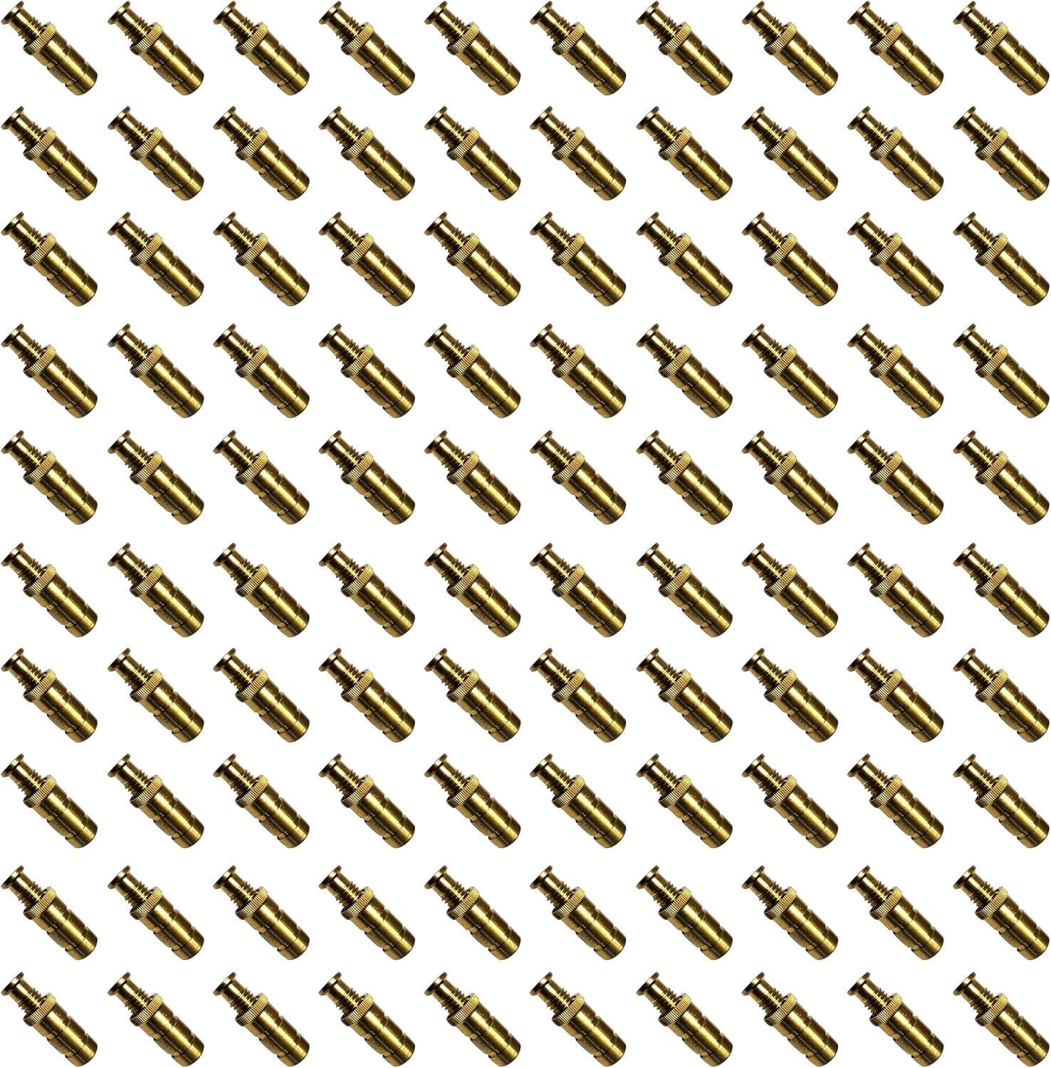 Poolzilla Pool Safety Cover Brass Anchors for Concrete and Pavers - 25 Pack - Universal Fit Pack of 2