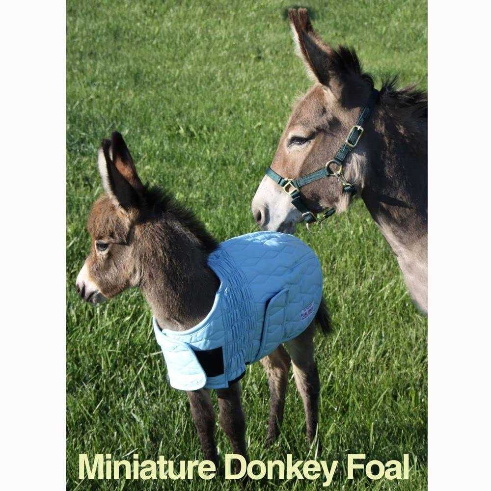 UltraFlex Lightweight Foal Saver - Sports Supplies Online Store