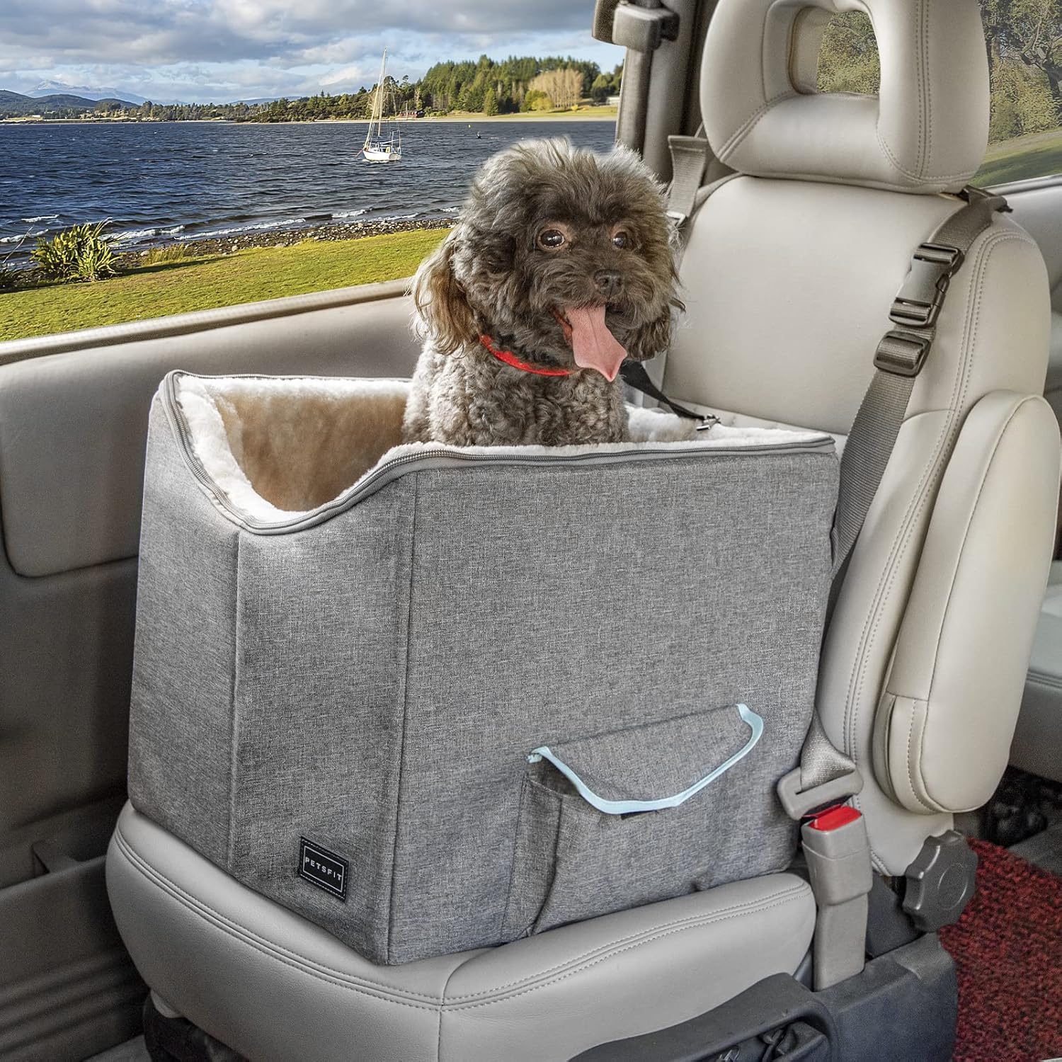 Petsfit Dog Car Seat, Pet Travel Car Booster Seat with Safety Belt, Washable Double-Sided Cushion and Storage Pocket for Large or Medium Dogs, Large
