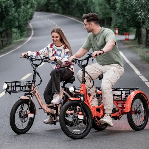LILYPELLE Electric Trike for Adults, 500W Folding Electric Tricycle Electric Trike