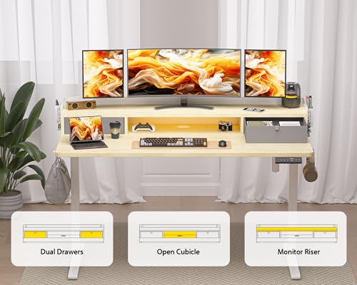 48x24 Inches Electric Standing Desk with 2 Drawers, Height Adjustable Stand up Desk for Home Office, Ergonomic Sit to Stand Table with Storage Shelf