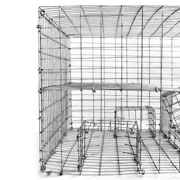 Bird B Gone Sparrow Trap with Two Chambers - Sports Supplies Online Store