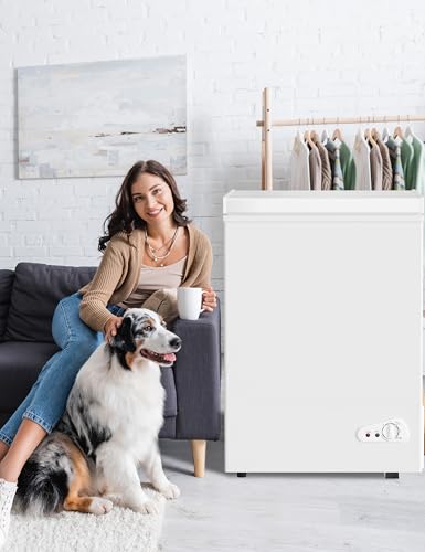 7.0 Cu Ft Chest Freezer - Energy Efficient & Quiet Mini Freezer with Adjustable Thermostat - Compact Deep Freezer for Home, Apartment, and Garage