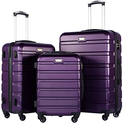 Coolife Luggage 4 Piece Set Suitcase Spinner Hardshell Lightweight TSA Lock