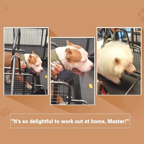 Electric Dog Treadmill for All Breeds - Quiet Motor, Adjustable Speed, LCD Display - Indoor Pet Fitness Machine for Small, Medium & Large Dogs & Cats
