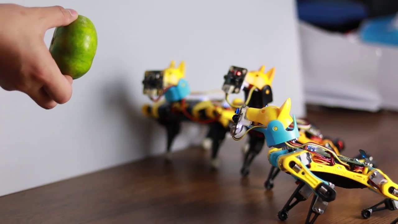 Bittle Robotic Dog by Petoi – Open Source Bionic Programable STEM Learning Toy – Endless Coding Possibilities – 3D Puzzle Assembly – Sophisticated