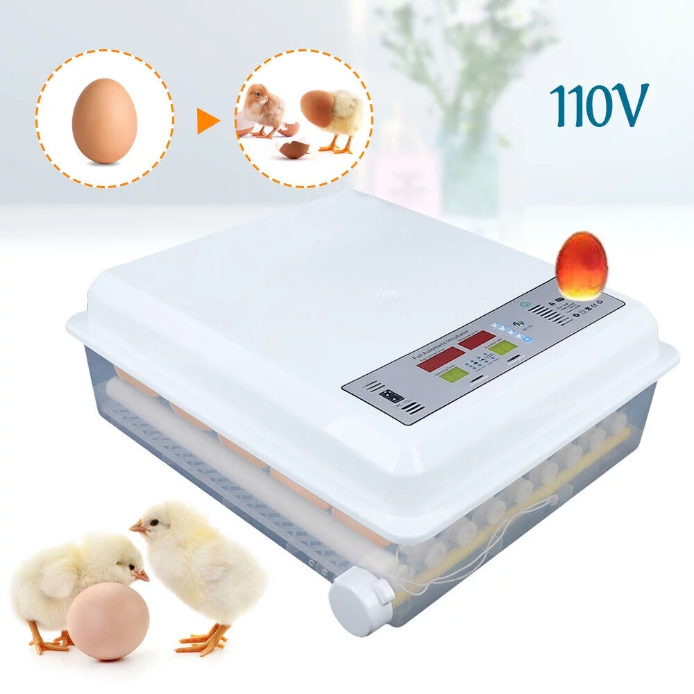 Egg Incubator 64 Eggs Fully Digital Automatic Hatcher for Hatching Chicken Farm - Curated Treasures Market