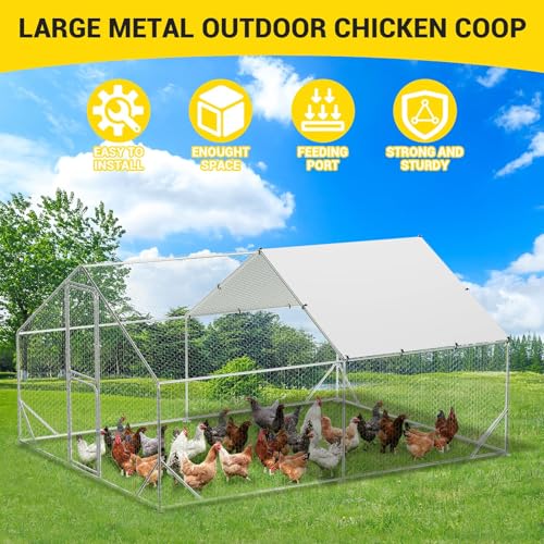 Large Metal Chicken Coop, Walk-in Poultry Cage