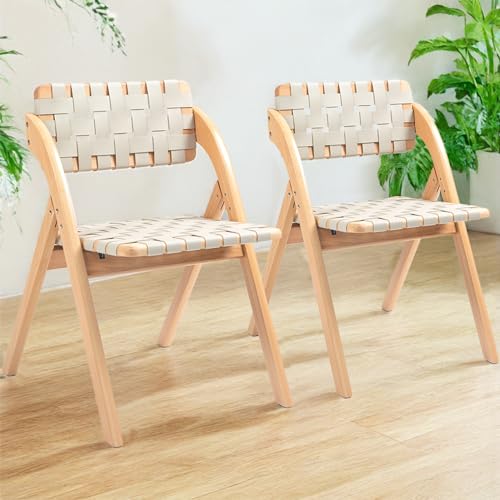 Folding Chairs Set of 2