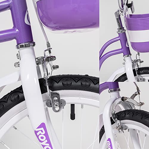 Royalbaby Princess Girls Kids Bike 12 14 16 18 20 Inch Children Bicycle with Basket for Age 3-12 Years