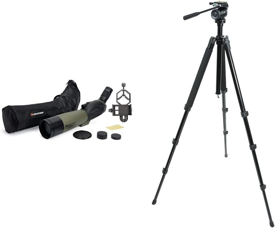 Celestron – Ultima 80 Angled Spotting Scope – 20 to 60x80mm Zoom Eyepiece – Multi-Coated Optics for Bird Watching, Wildlife
