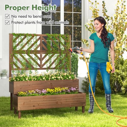 Raised Garden Bed with Trellis & 2 Planter Boxes, 2-Tier Outdoor Wooden Elevated Planter Box with Legs & Drainage Holes