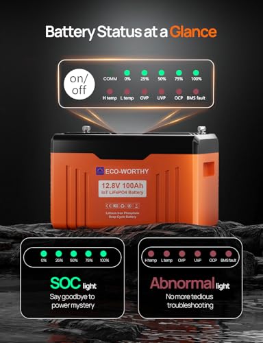 ECO-WORTHY 12V 100AH LiFePO4 Lithium Battery with Bluetooth, Max.1280Wh Energy, Low Temperature Protection, Group 24, Built-in 100A BMS