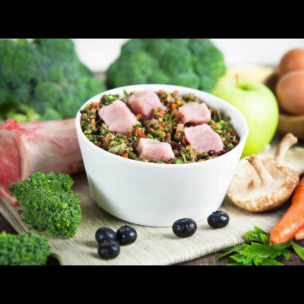 Dr. Harvey's Raw Vibrance Dog Food - Pet Supplies online store
