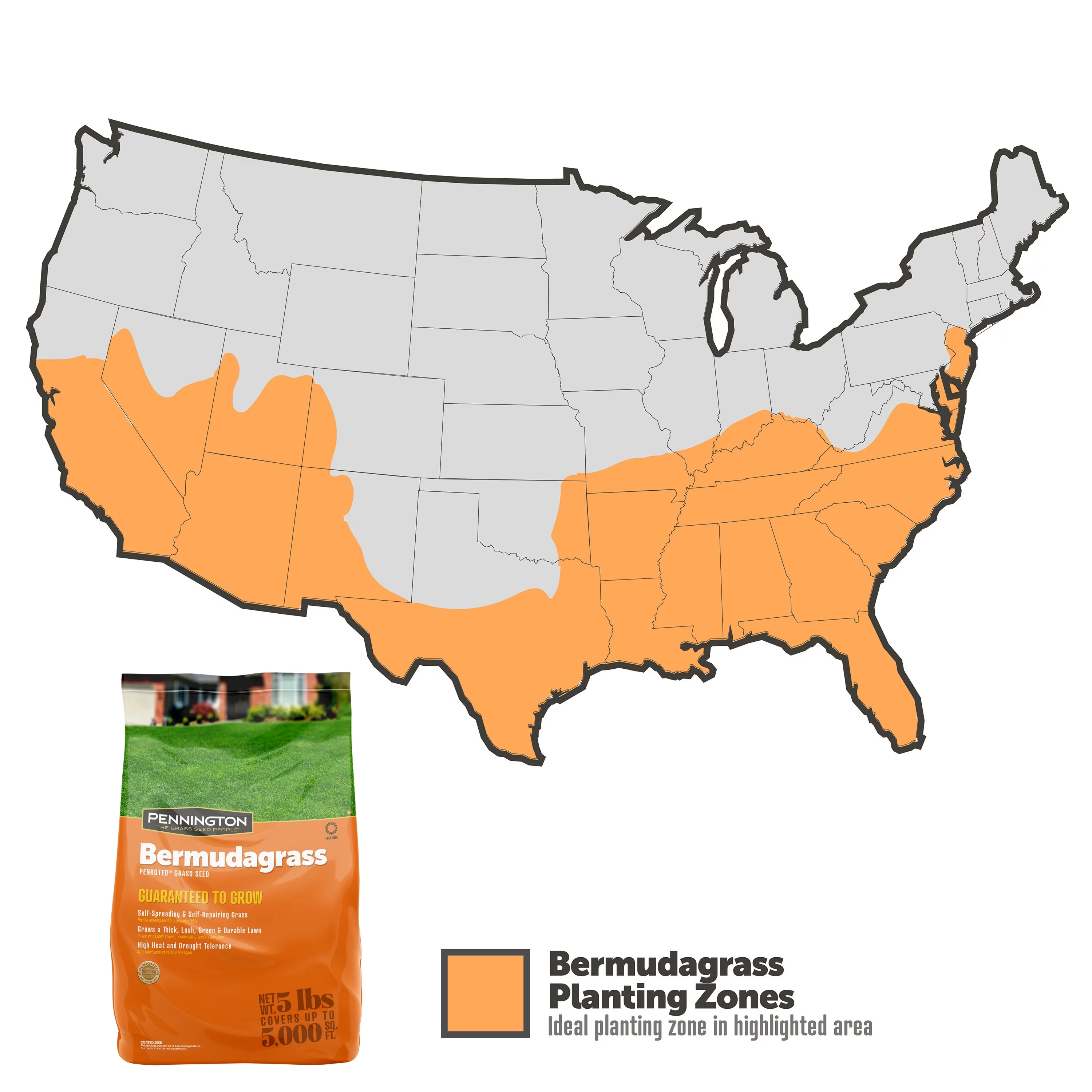 Pennington Sahara Bermudagrass Southern Grass Seed, for Full Sun, 5 lb.