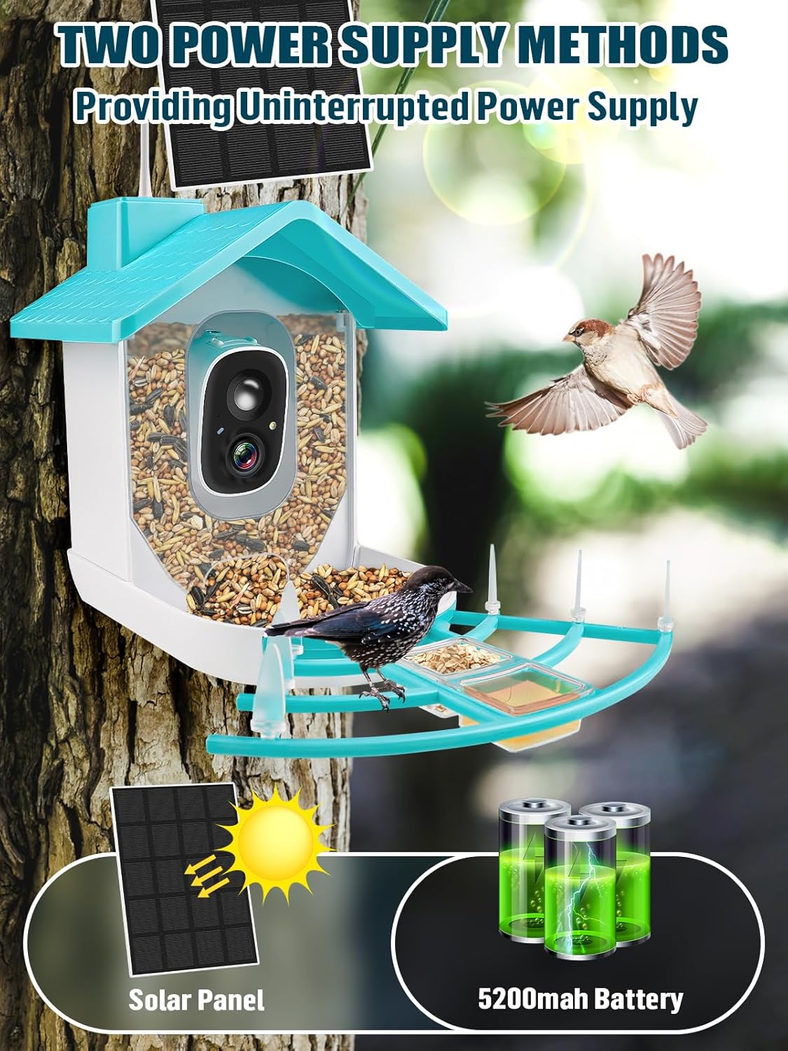 EBANKU Smart Bird Feeder with Camera, Solar Powered Dual Charge 1080P HD Video AI Identify 10000+Bird Species Bird Feeders for Outside
