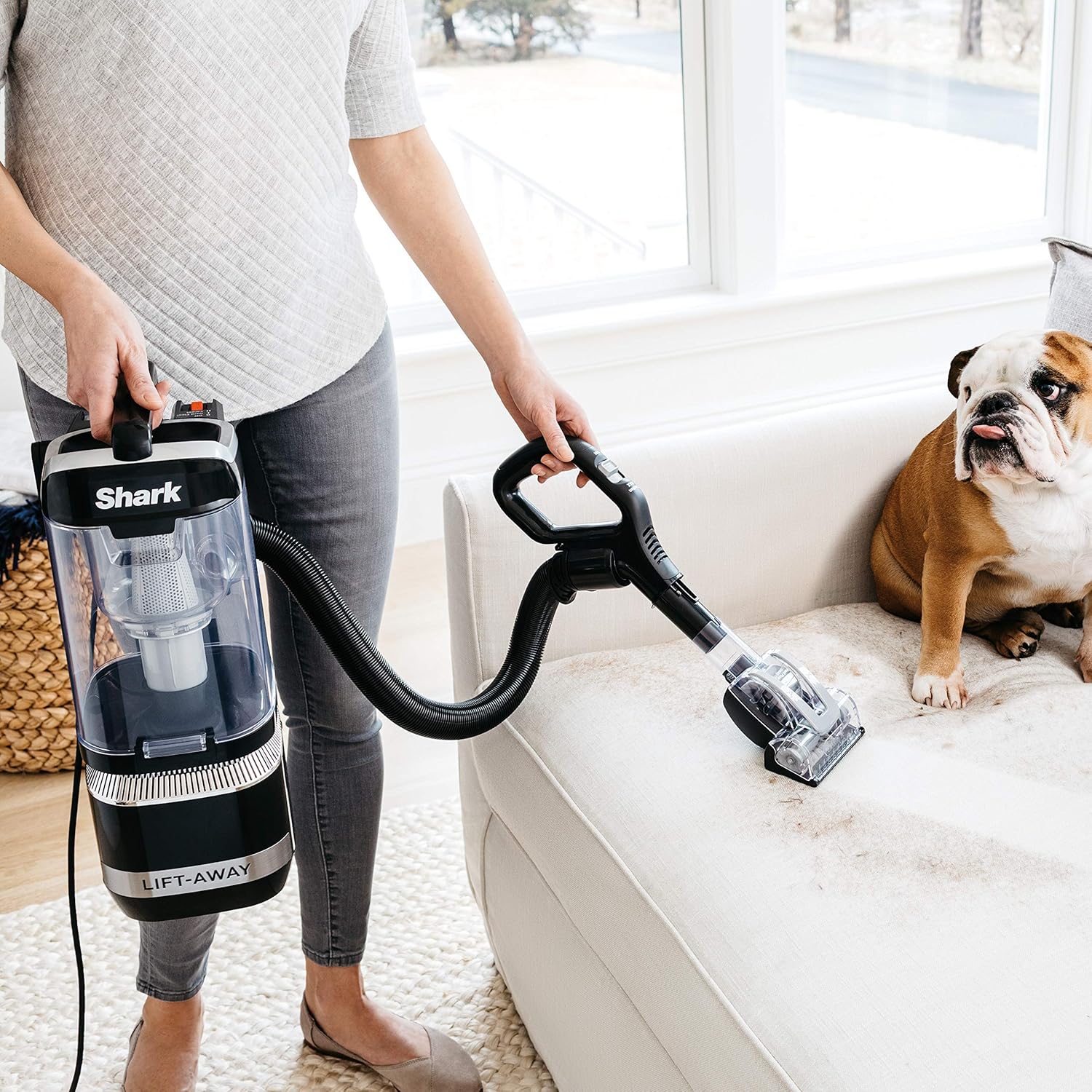 Shark LA322 Navigator Lift-Away ADV Corded Lightweight Upright Vacuum with Detachable Pod Pet Power Brush, Crevice Tool and Dusting Brush