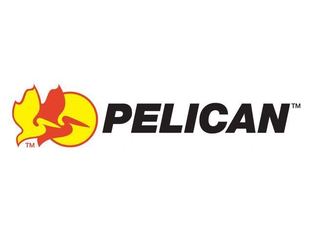 Pelican 1510 No Foam Case - Black