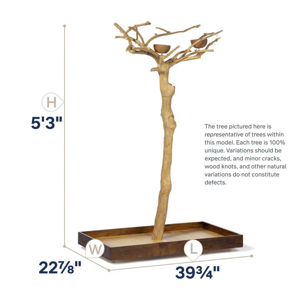 Prevue Pet Products Coffeawood Tree Style #2 Floor Stand Small - Pet Supplies online store