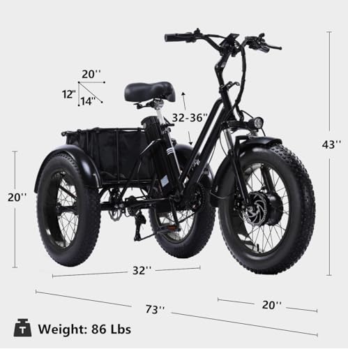 Adult Electric Tricycle Adult Tricycle 3 Wheel Bikes Adults Electric Three Wheel Bike - Radiant Selections