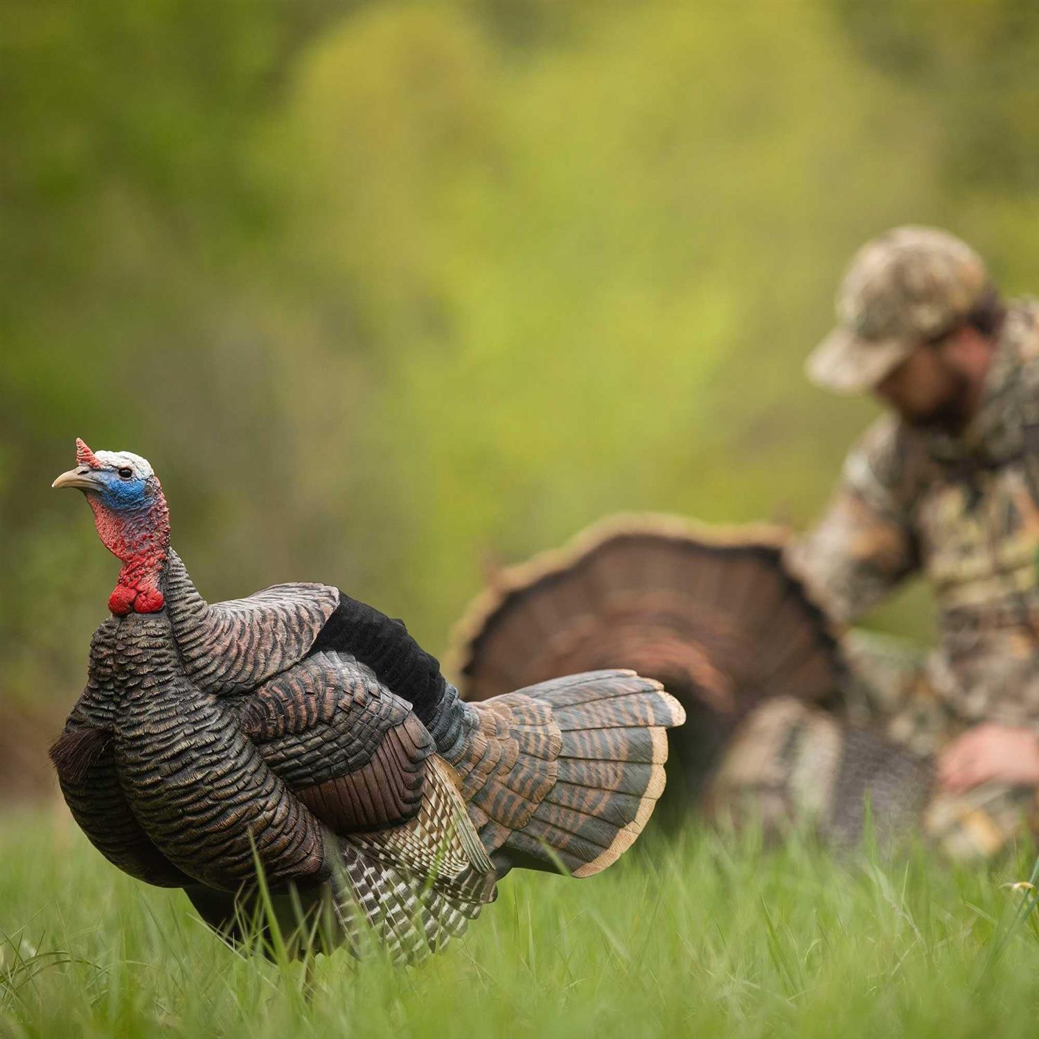 Dave Smith Decoys 3/4 Strut Jake Decoy - Sports Supplies Online Store