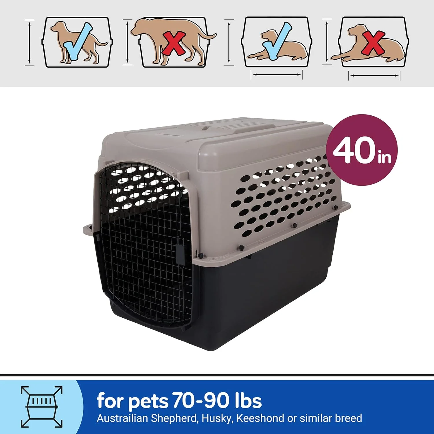 Vibrant Life Pet Kennel 19 X-Small Plastic Dog Crate Portable Carrier for Pets Up To 10 lbs