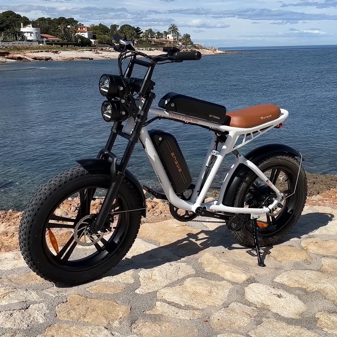 ENGWE Electric Bike 750W 20" Fat Tire Electric Bicycle, with 48V/26Ah Battery, 28MPH, 7-Speed E-Bikes for Men