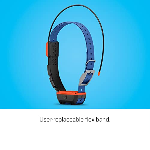 Garmin Alpha TT 25 GPS Dog Tracking and Training Collar