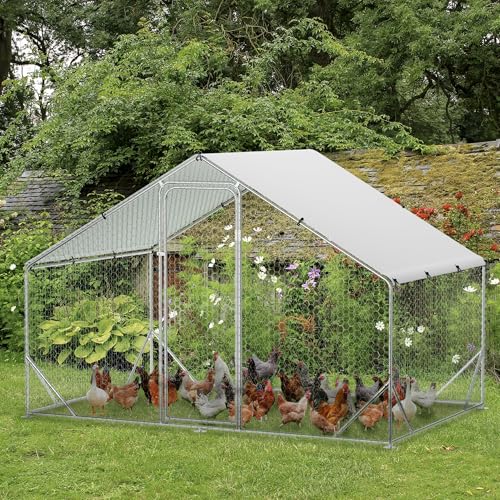 Large Metal Chicken Coop, Walk-in Poultry Cage
