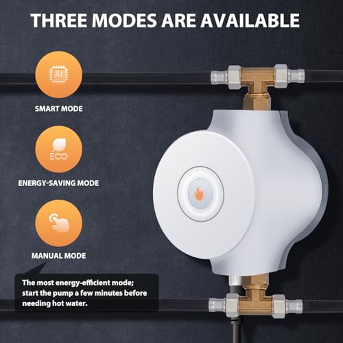 Hot Water Recirculating Pumps