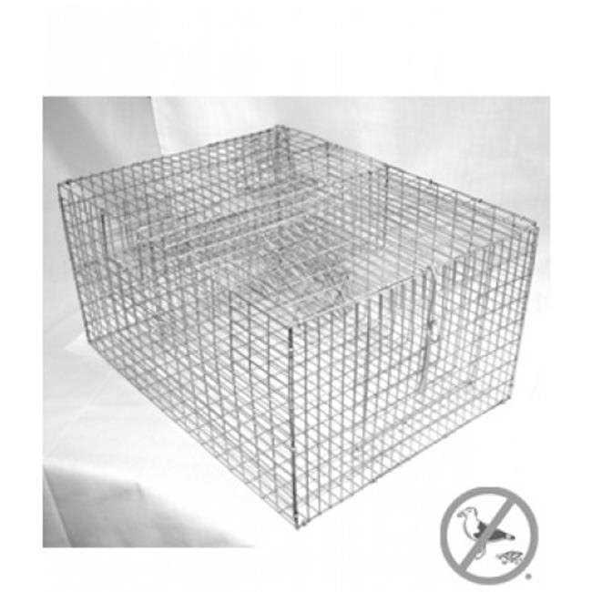 Bird B Gone Sparrow Trap with Two Chambers - Sports Supplies Online Store