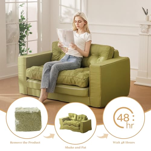 YOSHOOT Loveseat Sleeper Sofa,55" Convertible Sofa Bed Couch Futon Couches for Living Room