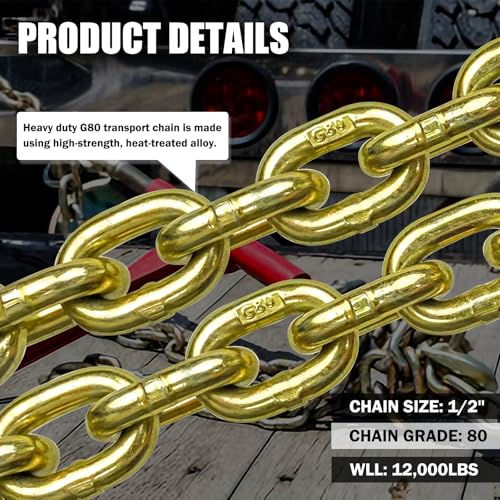 G80 Transport Binder Chain 5/16 Inch x 20 Foot | Tow Chain with Clevis Grab Hooks | 4