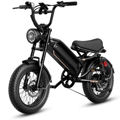 Electric Bike for Adults, 1500W 28MPH Max 55 Miles Electric Motorcycle with 48V Removable Battery, 16'' Fat Tire Full Suspension